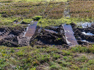 Soil Trafficability > soil_trafficability.png