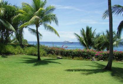 Tropical landscape